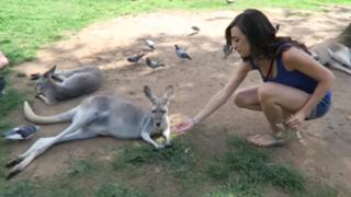 Colleen Ballinger feet photo thumbnail