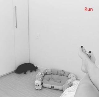 Kéfera Buchmann feet photo thumbnail