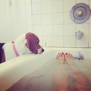 Adriene Mishler feet photo thumbnail