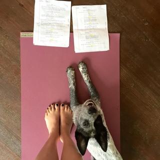 Adriene Mishler feet photo thumbnail