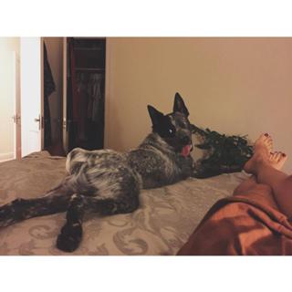 Adriene Mishler feet photo thumbnail