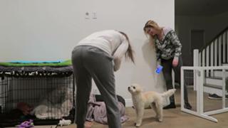 Jenna Ezarik feet photo thumbnail