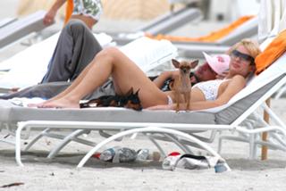 Paris Hilton feet photo thumbnail