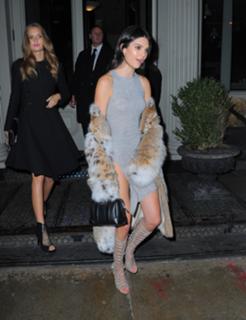 Kendall Jenner feet photo thumbnail