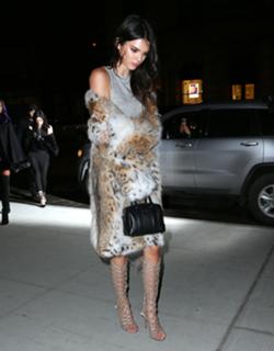 Kendall Jenner feet photo thumbnail