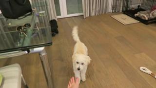Jenna Ezarik feet photo thumbnail