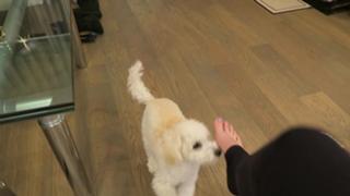 Jenna Ezarik feet photo thumbnail