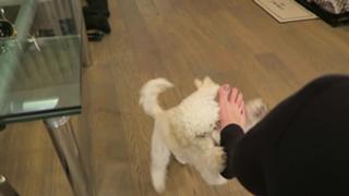 Jenna Ezarik feet photo thumbnail
