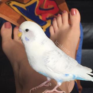 Jenelle Jcakess feet photo thumbnail