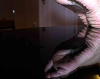 Franciely Freduzeski feet photo thumbnail