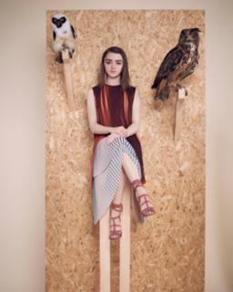 Maisie Williams feet photo thumbnail