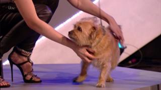 Rachel Riley feet photo thumbnail