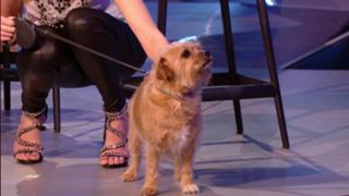 Rachel Riley feet photo thumbnail