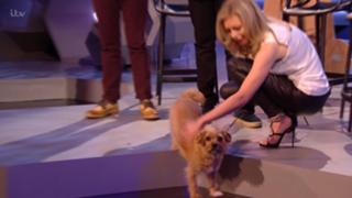 Rachel Riley feet photo thumbnail