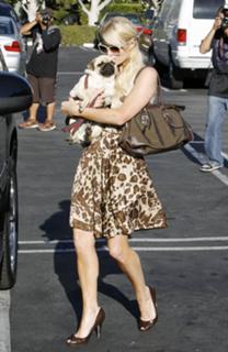 Paris Hilton feet photo thumbnail