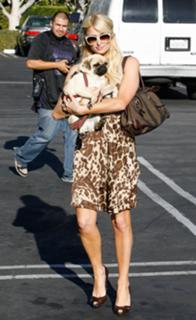 Paris Hilton feet photo thumbnail