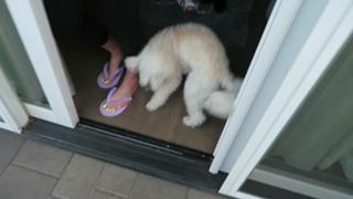 Justine Ezarik feet photo thumbnail