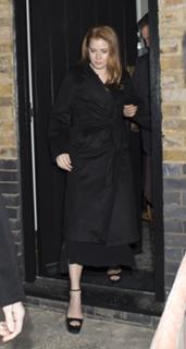 Amy Adams feet photo thumbnail