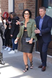 Demi Lovato feet photo thumbnail