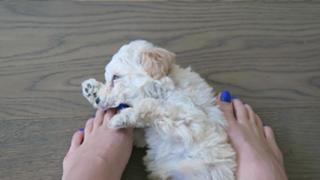 Justine Ezarik feet photo thumbnail