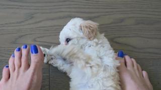 Justine Ezarik feet photo thumbnail