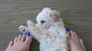 Justine Ezarik feet photo thumbnail