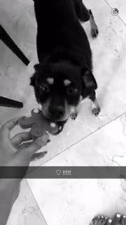 Ariana Grande feet photo thumbnail