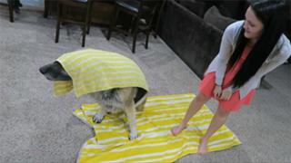 Brittney Smith feet photo thumbnail