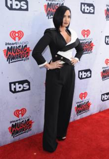 Demi Lovato feet photo thumbnail