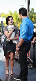 Demi Lovato feet photo thumbnail