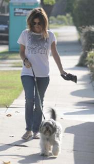 Rachel Bilson feet photo thumbnail