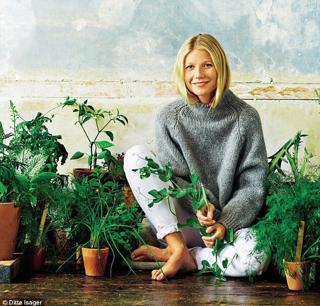 Gwyneth Paltrow feet photo thumbnail
