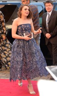 Maisie Williams feet photo thumbnail