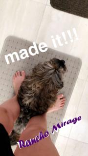 Rachel A. DeMita feet photo thumbnail
