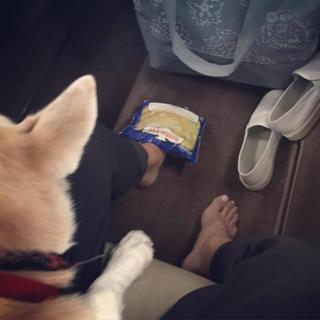 Danica Patrick feet photo thumbnail