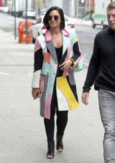 Demi Lovato feet photo thumbnail