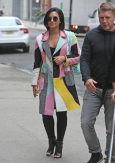 Demi Lovato feet photo thumbnail