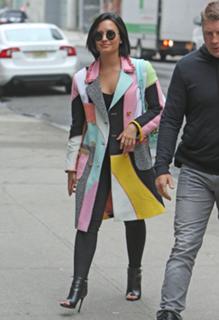 Demi Lovato feet photo thumbnail