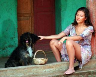 Thalía feet photo thumbnail