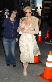 Paris Hilton feet photo thumbnail