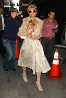 Paris Hilton feet photo thumbnail