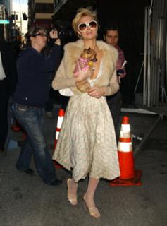 Paris Hilton feet photo thumbnail