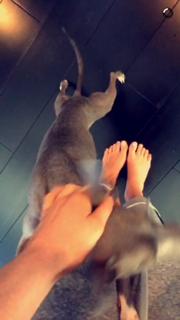 Kylie Jenner feet photo thumbnail