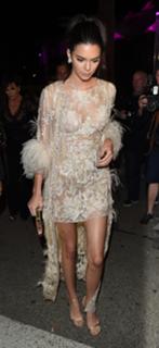 Kendall Jenner feet photo thumbnail