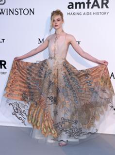 Elle Fanning feet photo thumbnail