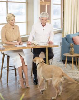 Holly Willoughby feet photo thumbnail