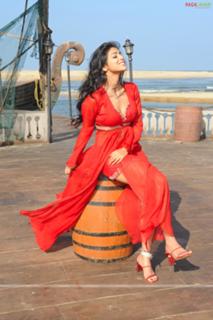 Shriya Saran feet photo thumbnail