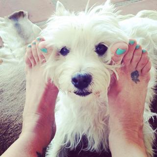 Virginia Madsen feet photo thumbnail