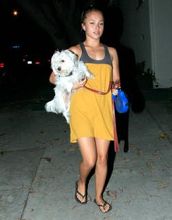 Hayden Panettiere feet photo thumbnail