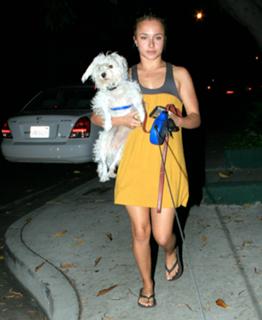 Hayden Panettiere feet photo thumbnail